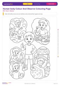 Human body Colour And Observe Colouring Page