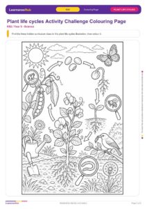 Plant life cycles Activity Challenge Colouring Page