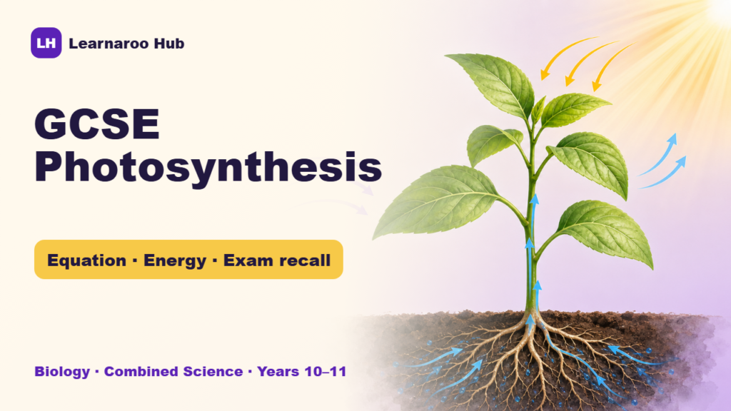 Green plant leaves beside the title GCSE Photosynthesis: Equation, Energy and Exam Recall