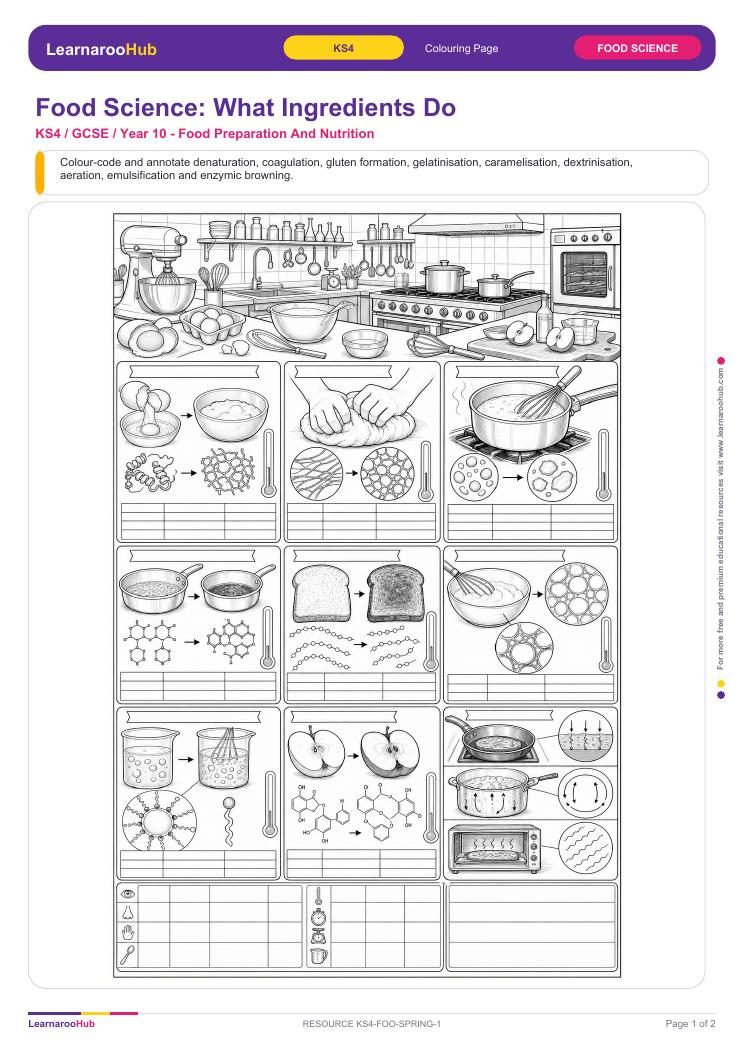 Food Science: What Ingredients Do