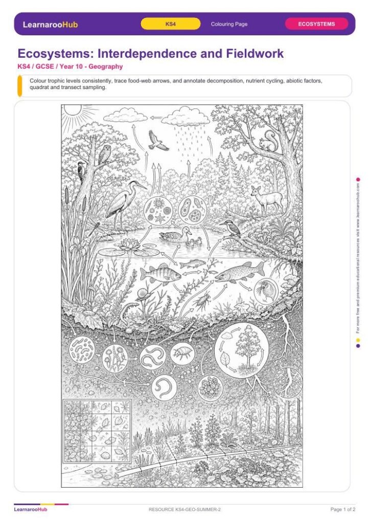 Ecosystems: Interdependence and Fieldwork — featured image