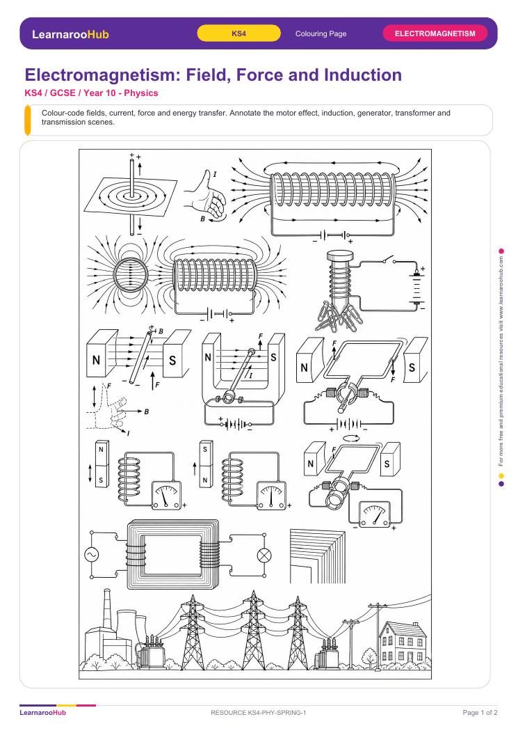 Electromagnetism: Field, Force and Induction