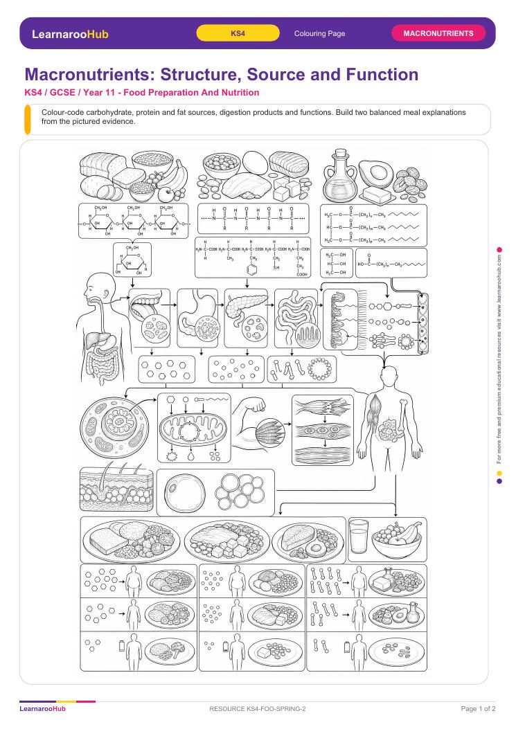Macronutrients: Structure, Source and Function