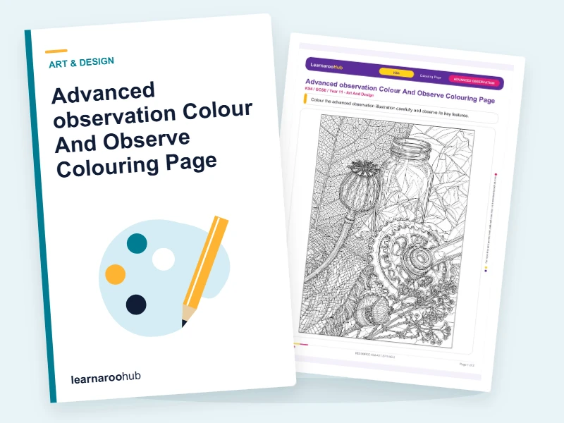 Advanced observation Colour And Observe Colouring Page — colouring sheets cover
