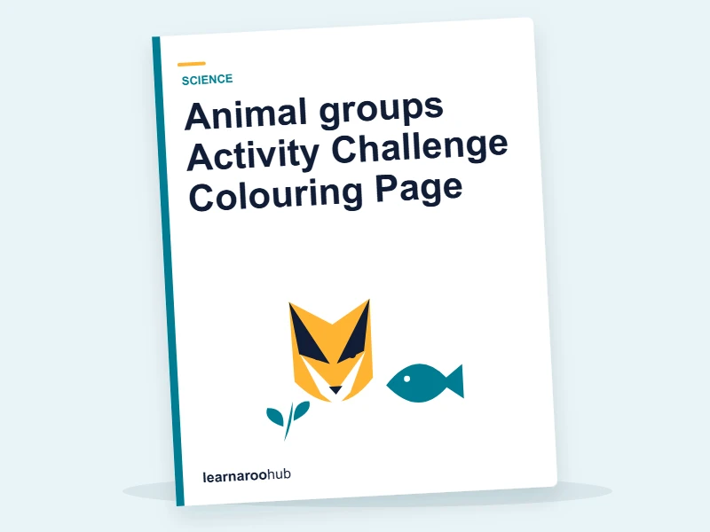 Animal groups Activity Challenge Colouring Page — colouring sheets cover