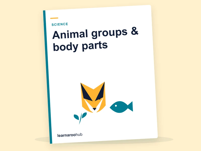 Animal Groups & Body Parts Flashcards — flashcard deck cover