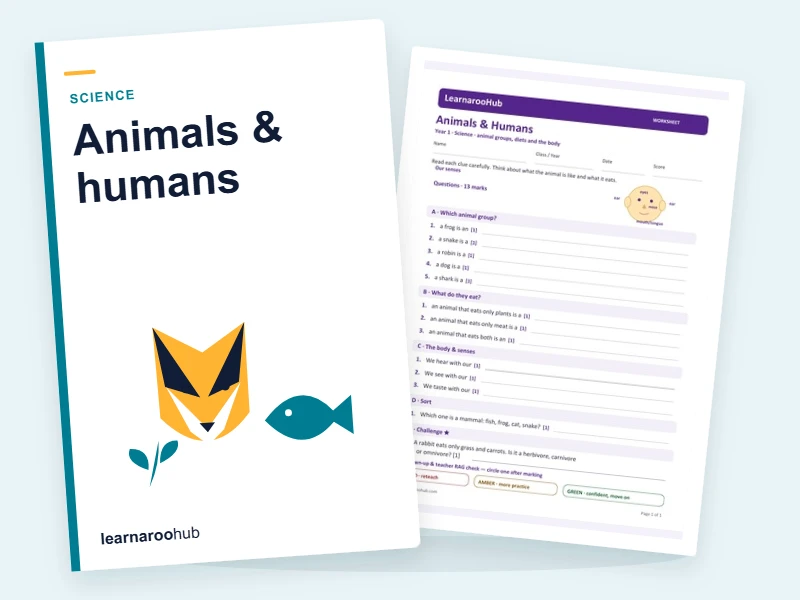 Animals and Humans: Year 1 Worksheet — printable / pdf cover