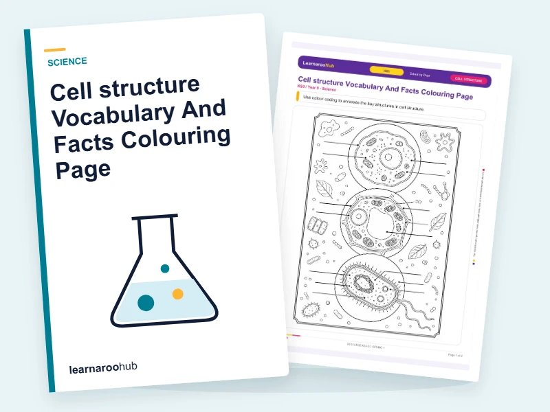 Cell structure Vocabulary And Facts Colouring Page — colouring sheets cover