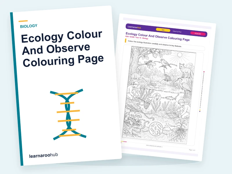 Ecology Colour And Observe Colouring Page — colouring sheets cover