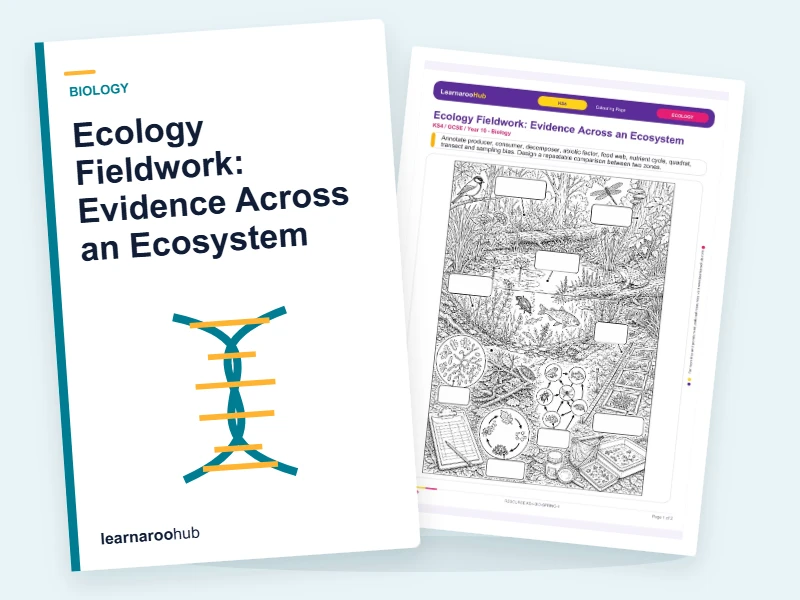 Ecology Fieldwork: Evidence Across an Ecosystem — colouring sheets cover