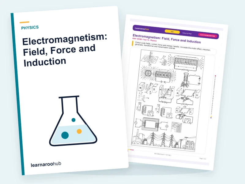 Electromagnetism: Field, Force and Induction