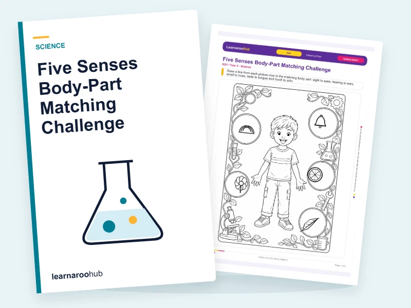 Five Senses Body-Part Matching Challenge — colouring sheets cover
