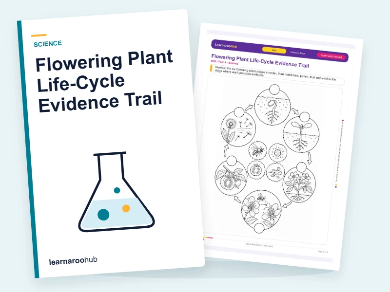 Flowering Plant Life-Cycle Evidence Trail — colouring sheets cover