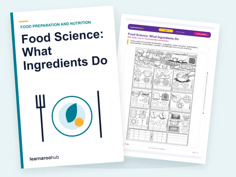 Food Science: What Ingredients Do