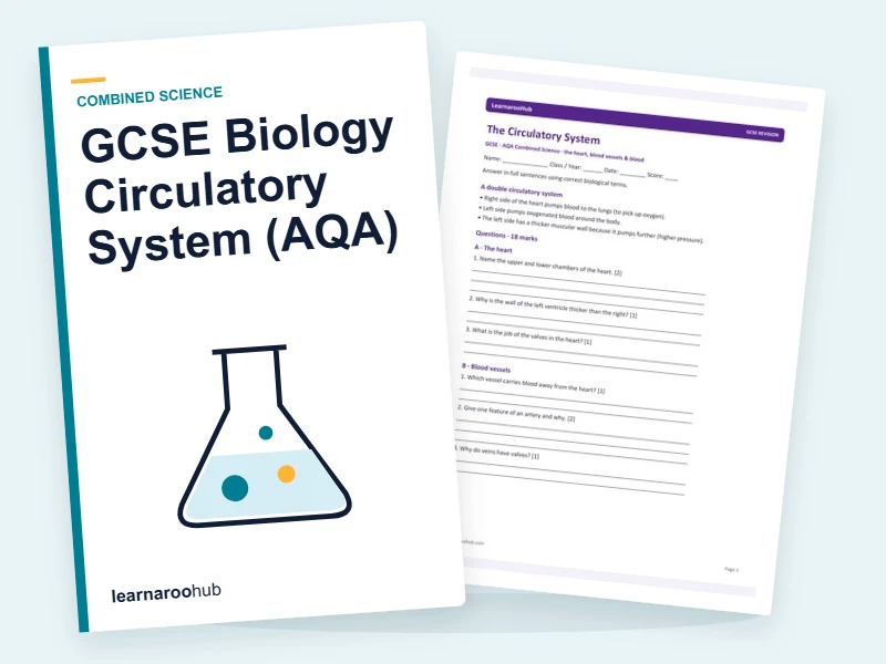 GCSE Biology Circulatory System (AQA) — printable / pdf cover