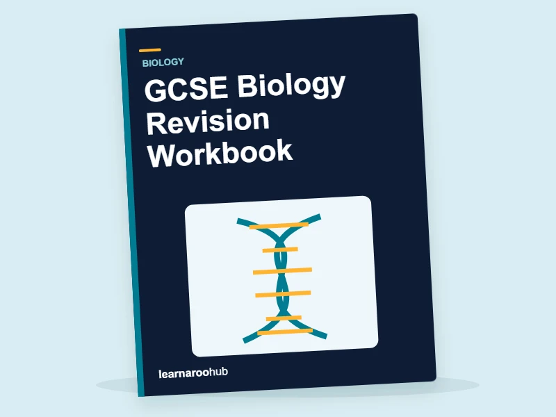 GCSE Biology Revision Workbook — activity book cover