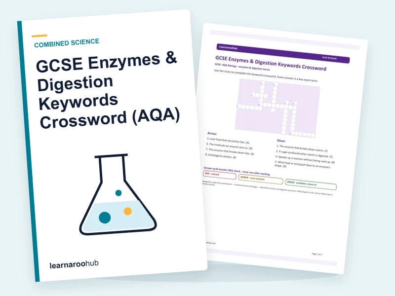 GCSE Enzymes & Digestion Keywords Crossword (AQA) — printable / pdf cover