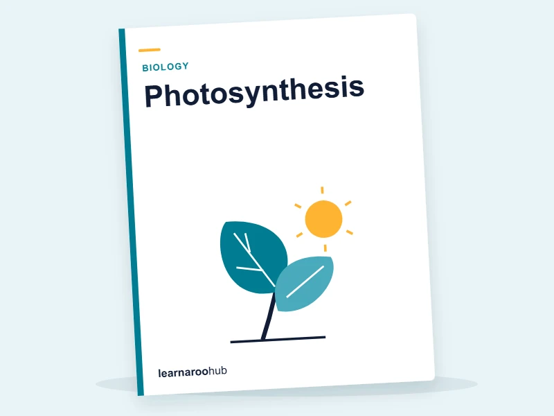 GCSE Photosynthesis Video Lesson: Equation, Energy and Exam Recall — video lesson cover
