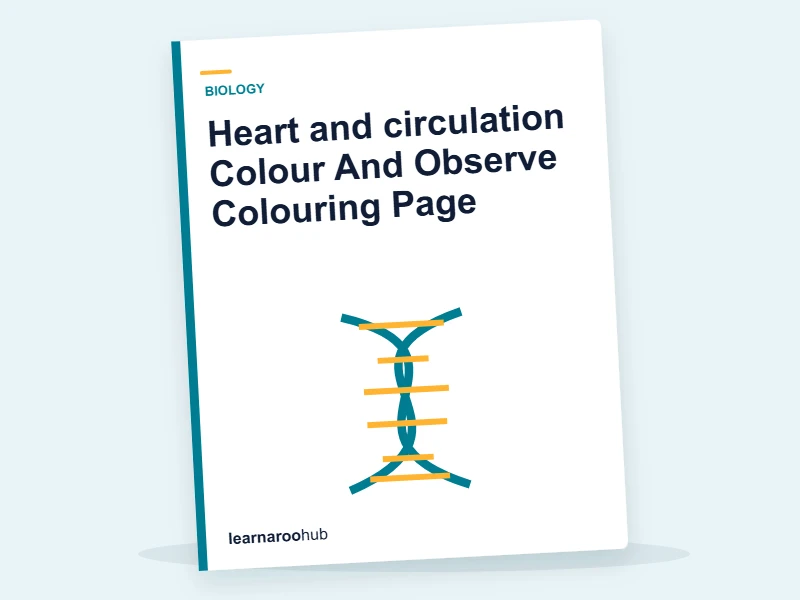 Heart and circulation Colour And Observe Colouring Page — colouring sheets cover
