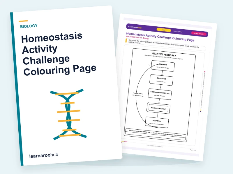 Homeostasis Activity Challenge Colouring Page — colouring sheets cover