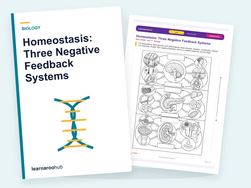 Homeostasis: Three Negative Feedback Systems — colouring sheets cover