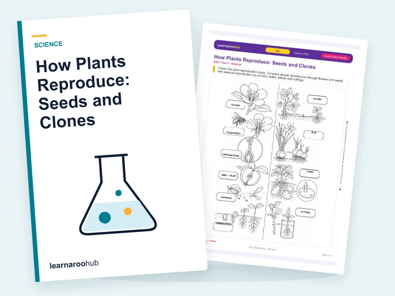 How Plants Reproduce: Seeds and Clones — colouring sheets cover