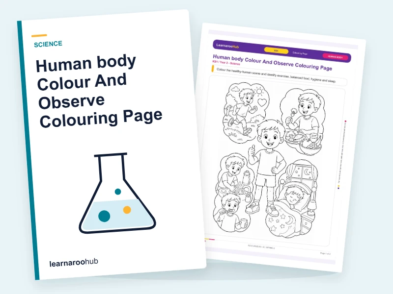 Human body Colour And Observe Colouring Page — colouring sheets cover