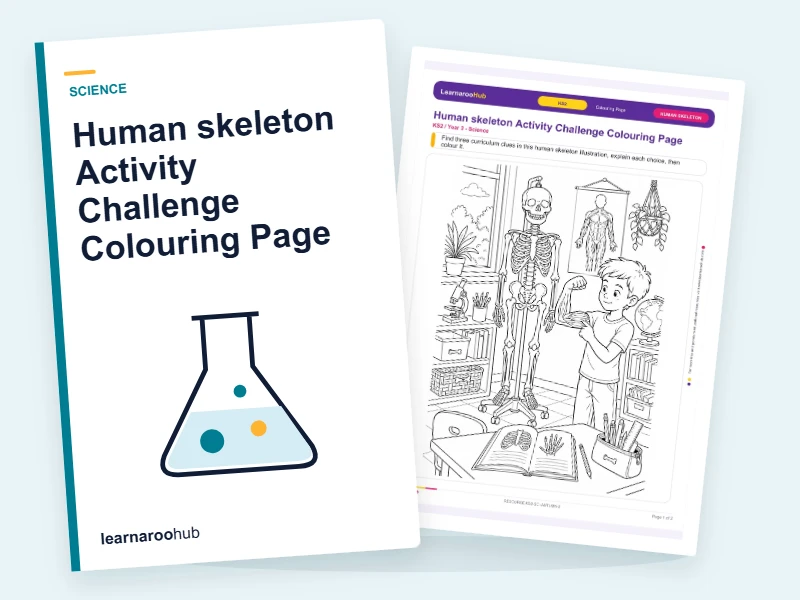 Human skeleton Activity Challenge Colouring Page — colouring sheets cover