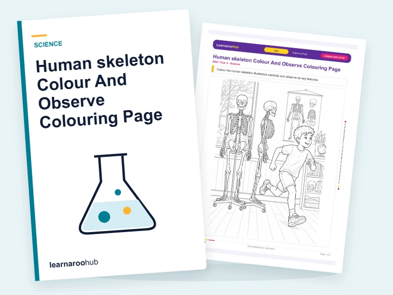Human skeleton Colour And Observe Colouring Page — colouring sheets cover