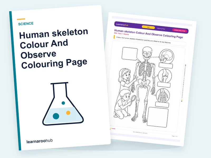 Human skeleton Colour And Observe Colouring Page — colouring sheets cover