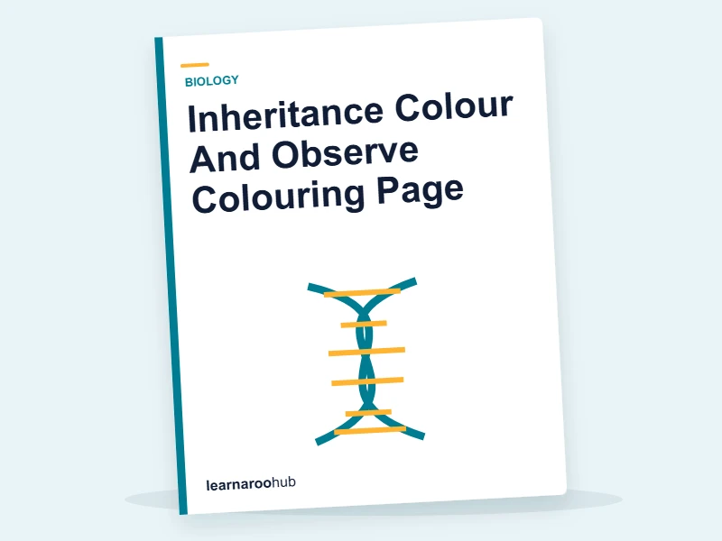 Inheritance Colour And Observe Colouring Page — colouring sheets cover