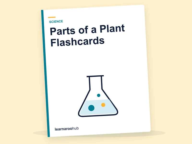 KS1 Plants: Parts of a Plant Flashcards — flashcard deck cover