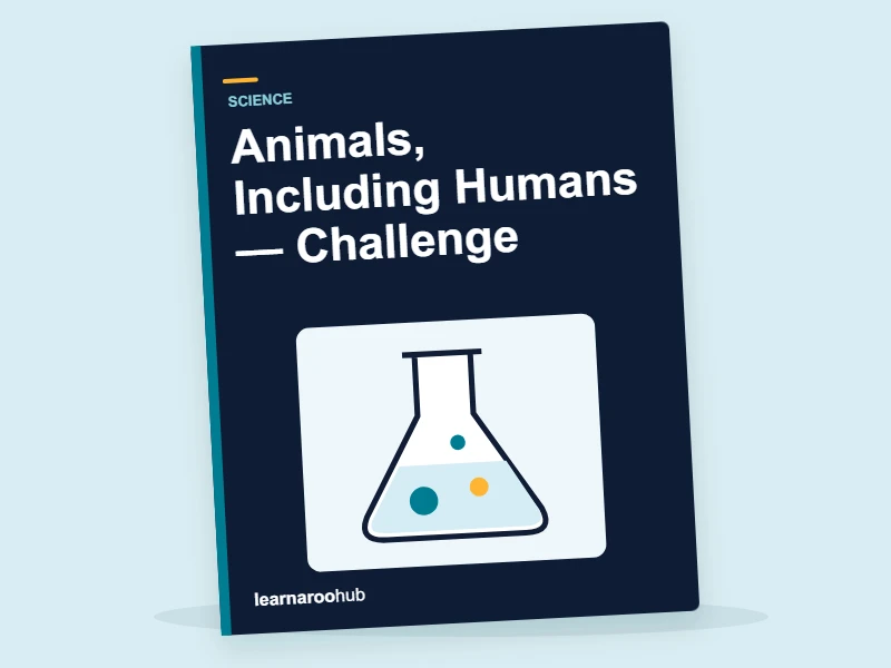 KS1 Science: Animals, Including Humans — Challenge — activity book cover