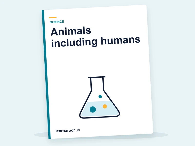 KS1 Science — Module 1: Animals including humans — e-learning module cover