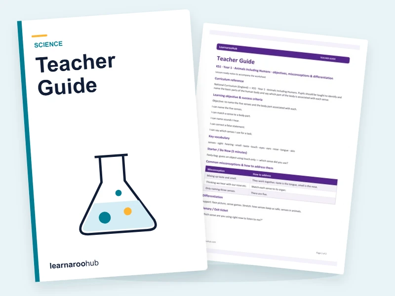 KS1 Senses: Teacher Guide — printable / pdf cover