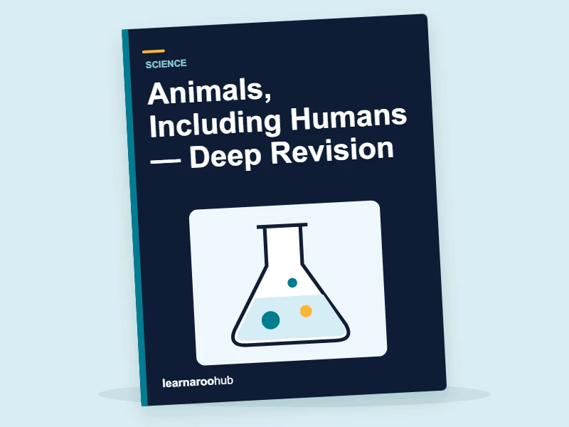 KS2 Science: Animals, Including Humans — Deep Revision — activity book cover