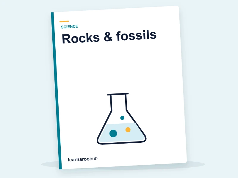 KS2 Science — Module 6: Rocks & fossils — e-learning module cover