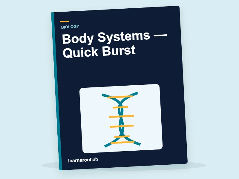 KS3 Biology: Body Systems — Quick Burst — activity book cover
