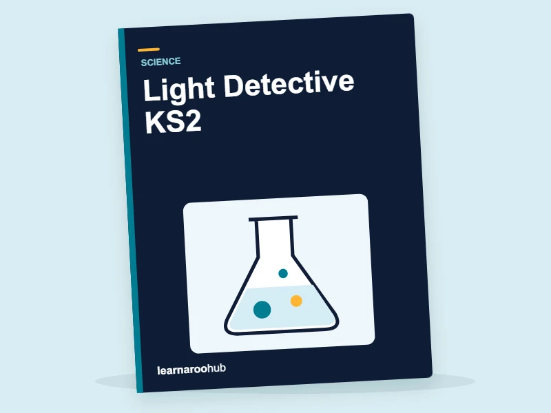 Light Detective KS2 — activity book cover