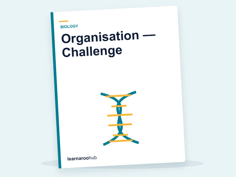Organisation — Challenge — quiz cover