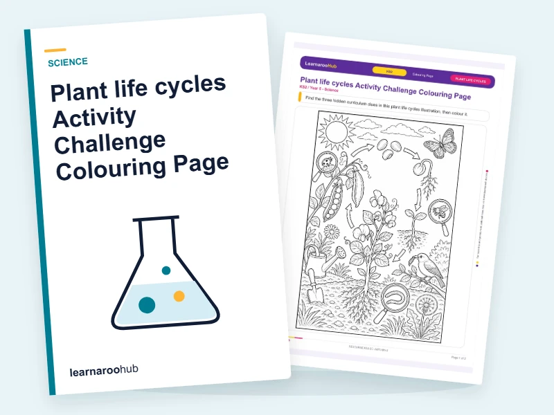 Plant life cycles Activity Challenge Colouring Page — colouring sheets cover