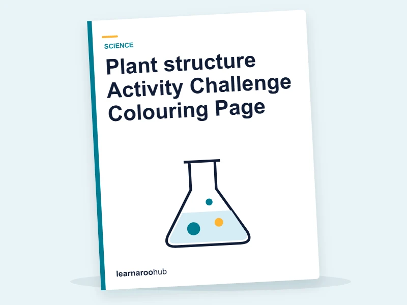 Plant structure Activity Challenge Colouring Page — colouring sheets cover