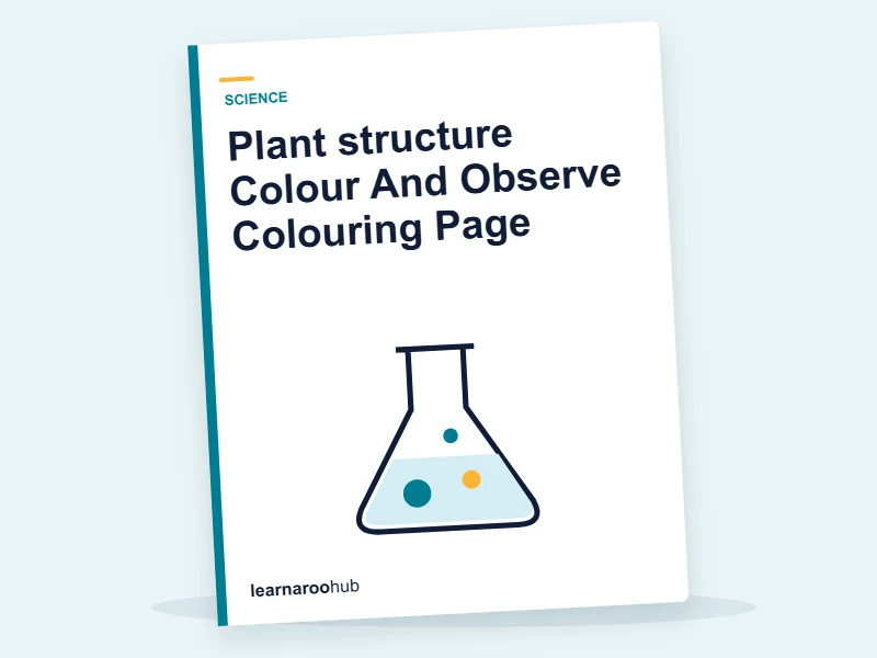 Plant structure Colour And Observe Colouring Page — colouring sheets cover