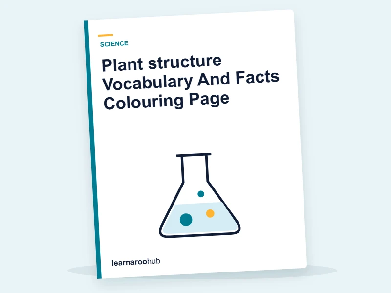 Plant structure Vocabulary And Facts Colouring Page — colouring sheets cover