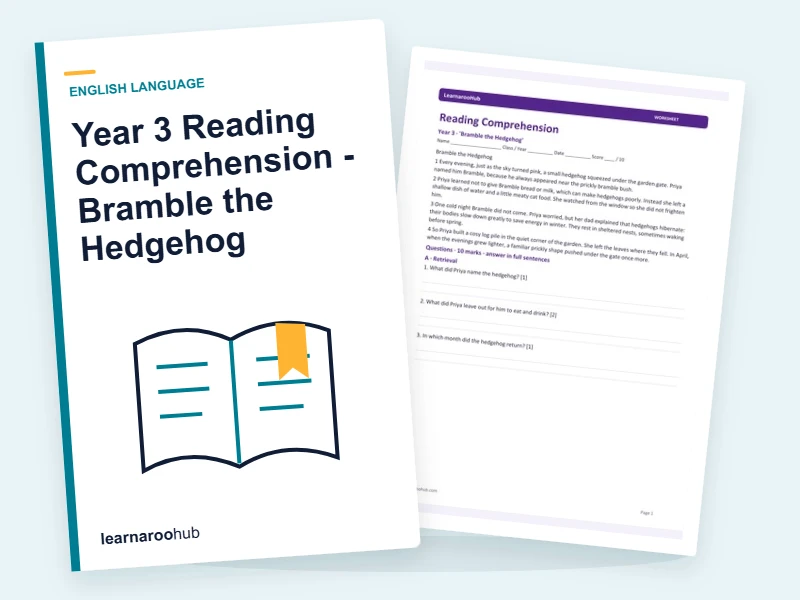 Year 3 Reading Comprehension - Bramble the Hedgehog — printable / pdf cover