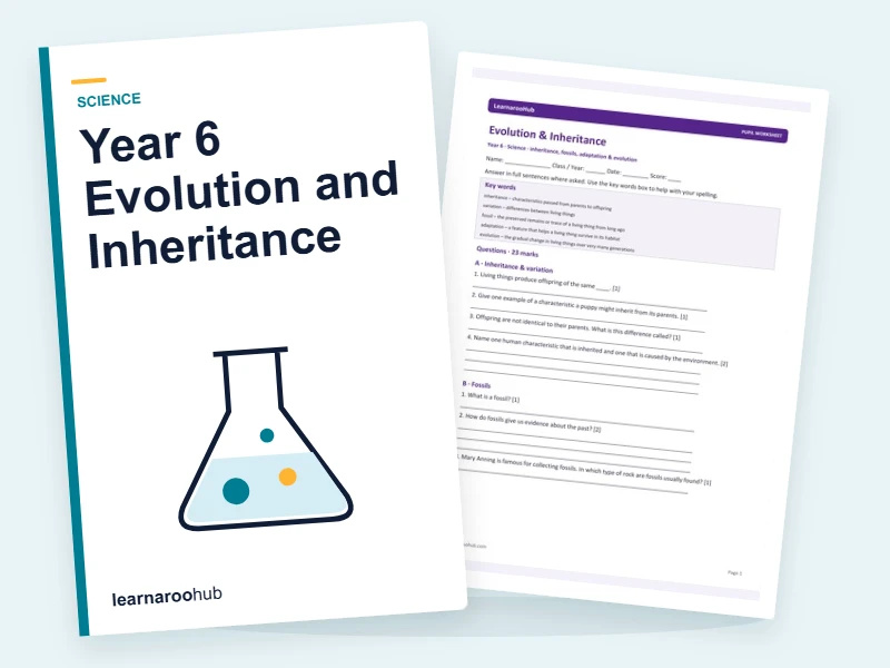 Year 6 Evolution and Inheritance — printable / pdf cover
