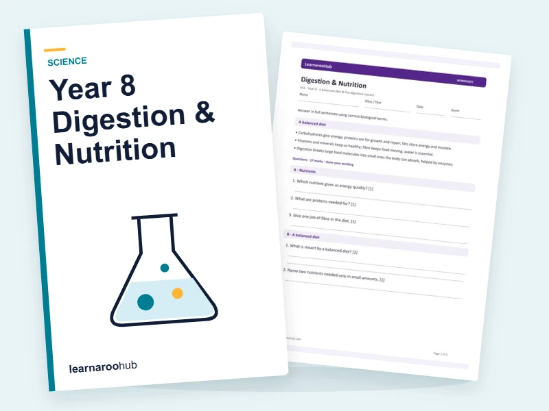 Year 8 Digestion & Nutrition — printable / pdf cover